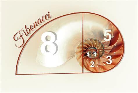 Calcolatori Ritracciamenti di Fibonacci .